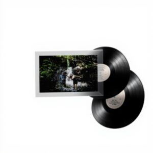 Dolce Vita SONY SPAIN disco musica collezione 2 CD