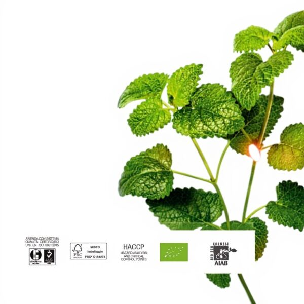 Olio di mandorle dolci Erba Vita emolliente lenitivo pelle