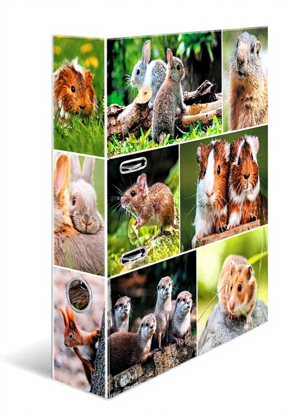 HERMA Raccoglitore a leva, motivo: animali con motivo roditori, dorso, 70 mm, confezione da 10