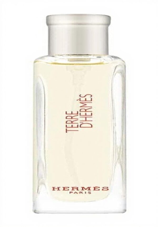 Terre dHermes Profumo Uomo Hermes Fragranza Legnosa